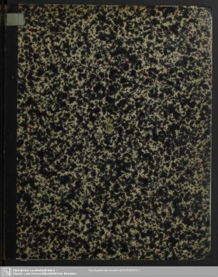 2: Neue Käfer von Celebes