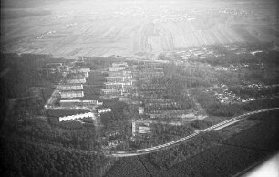 Bau der Waldstadt.