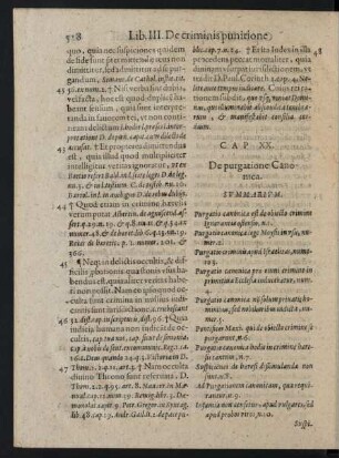 Cap XX. De purgatione Canonica