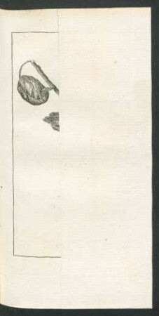Tafel: L'Oiseau - Mouche.