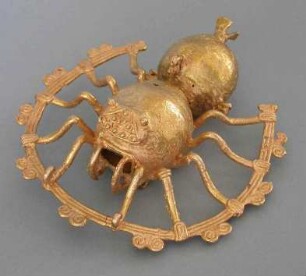 Spinne