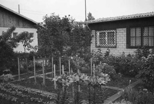 Kleingartenverein Litzelau. Bewerbung um den Titel "Mustergültige Anlage" im 13. Bundeswettbewerb "Der Garten in deutschen Städten und Gemeinden"