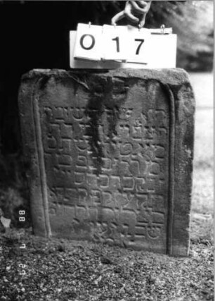 Grabstein 17 (Index: 100086392) Material: Sandstein Zustand: verwittert, oben abgebrochen, unten eingesunken Maße HxBxT: 62x59x8 cm Beschreibung: Stele, oben abgebrochen: Grabstein 17