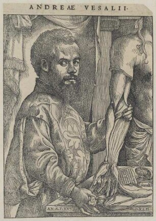 Bildnis des Andreas Vesalius