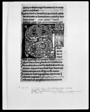 Psalterium mit Kalendarium — Initiale S (alvum me fac), Folio 81recto