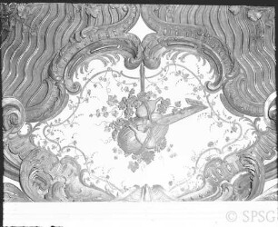 Potsdam, Neues Palais, Mamorgalerie, R.: 178, Decke, Detail, Westseite.