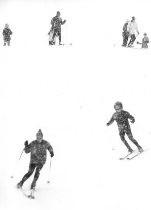 Österreich. Im Skigebeit Seefeld/Tirol geht es im Slalom den Hang hinunter.