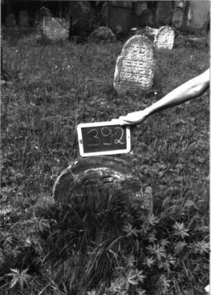 Grabstein 392 (Index: 100102837) Material: Sandstein Zustand: eingesunken, fast vollständiger Textverlust Maße HxBxT: 60x38x7 cm Beschreibung: Stele, eingezogener Rundbogenabschluss, Schriftfeld eingetieft: Grabstein 392