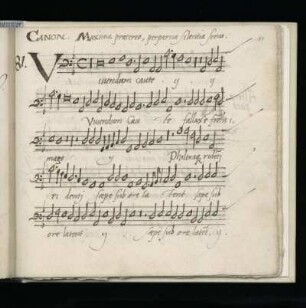 81. Vivendum caute, fallax est frontis
