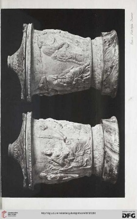 Tavola I - XXIII
