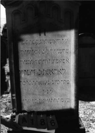 Grabstein 186 (Index: 99797620) Material: Sandstein, weiß Zustand: leicht verwittert Maße HxBxT: 200x67x20 cm Beschreibung: Stele, Giebel rechteckig erhöht, getreppter Sockel Symbolik: Blüte, Rundbogenfries: Grabstein 186A