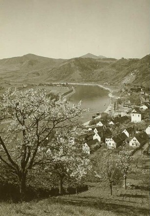 Salesel (heute Dolní Zálezly / Tschechien). Blick vom Talhang über die Elbe nach Südwesten. Im Hintergrund von links nach rechts: die Kubatschka (Kuckucksberg, 557 m), der Kletschen (705 m), der Milleschauer (835 m) und das Dubitzer Kirchlein