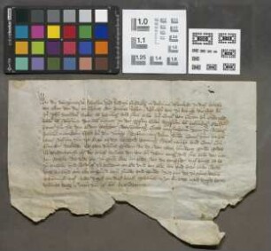 Friedberg: Schadlosbrief der Stadt Friedberg für die dem Ritter Johann Brendel v. Homburg gestellten Bürgen
