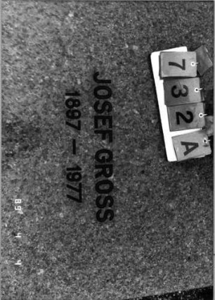 Grabstein 732 (Index: 100089091) Material: polierter roter Granit, Metallbuchstaben Maße HxBxT: 200x98x23 cm Besonderheit: direkt neben dem Grab von Fanny Gross: Grabstein 732A