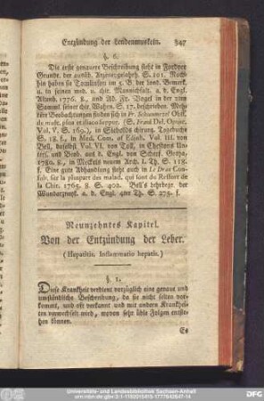 Neunzehntes Kapitel. Von der Entzündung der Leber.