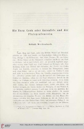9: Die Burg Caub oder Gutenfels und der Pfalzgrafenstein