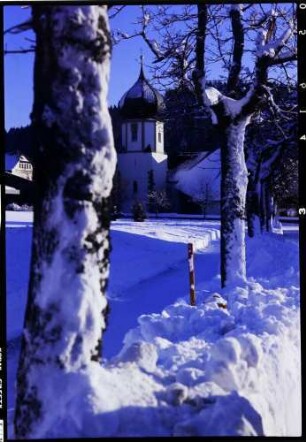 Hinterzarten: Pfarrkirche hinter verschneiter Baumallee