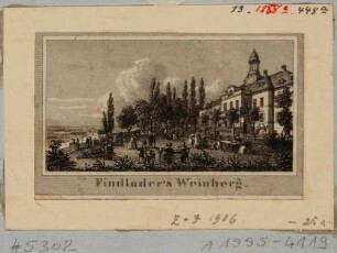 Findlaters Weinberg am Loschwitzer Elbhang zwischen Saloppe und Mordgrund bei Dresden nach Nordwesten, im Hintergrund die Stadt Dresden im Elbtal