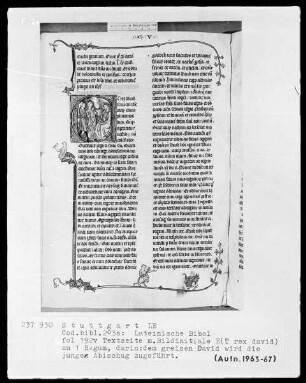 Lateinische Bibel, drei Bände — Initiale E (t rex David), darin dem greisen David wird Abishag zugeführt, Folio 192verso