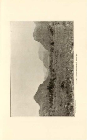 Plate VII. View near Santa Fé, Zambales