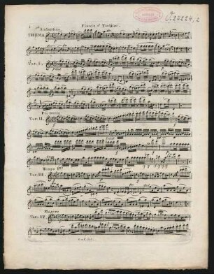 Flauto o' violino