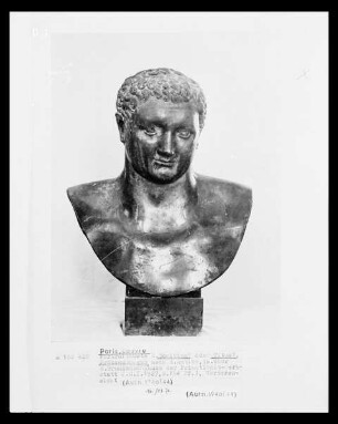 Büste des Domitian oder Titus nach antikem Vorbild