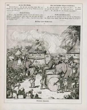 "Bilder aus Kamerun I."