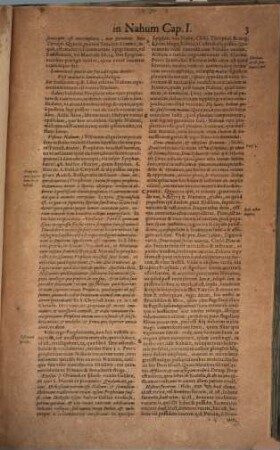 Commentaria In Duodecim Prophetas Minores, 2