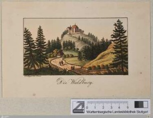Die Waldburg