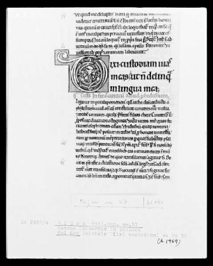 Commentarius in Psalmos — Commentarius in Psalmos, Folio 41versoBuchseite