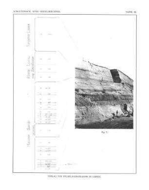 Geologisches Profil der Sandgrube