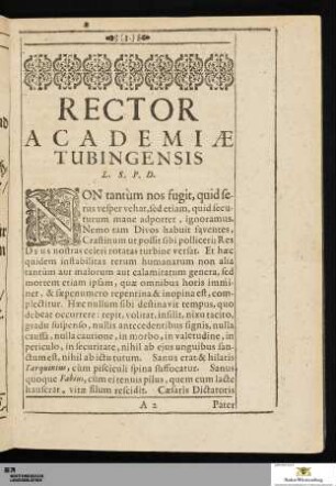 Rector Academiae Tubingensis