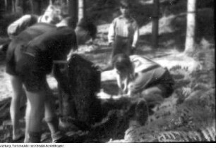 Sächsische Schweiz. Naturschutz-Wandergruppe am Zirkelstein. Wiedererrichten eines Gedenksteines, 1946