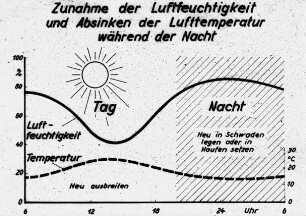 Zunahme der Luftfeuchtigkeit und Absinken der Lufttemperatur während der Nacht