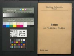 Anna Margarete Pecher bei der Bega gegen Hans Christophel Hartwig bei der Bega, Sohn der Witwe Hartwig, wegen einer Eheklage