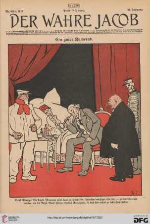 Nr. 818 (1917)