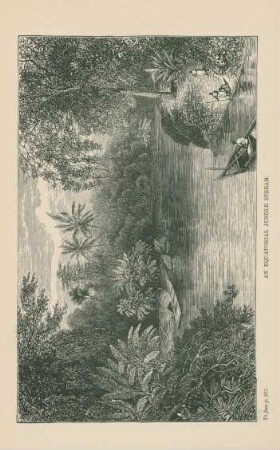 An equatorial jungle stream