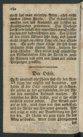 Der Ochse