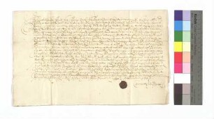 Schutzbrief Konrad Widerholds, Obrist auf der Festung Hohentwiel.