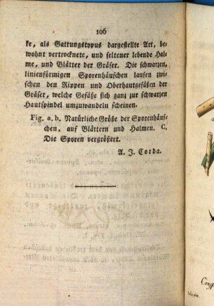 Deutschlands Flora : in Abbildungen nach der Natur mit Beschreibungen, 3,9. Abt. III., Die Pilze Deutschlands ; H. 9