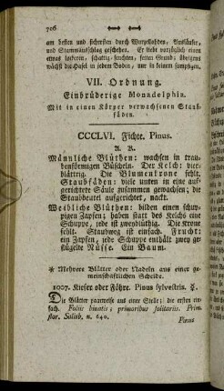 VII. Ordnung. Einbrüderige Monadelphia. Mit in einen Körper verwachsenen Staubfäden