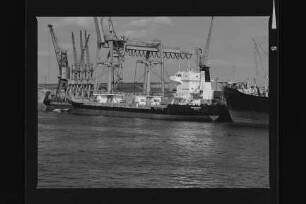 Cap Bizerta ex Inga Bastian (1977), Frachtschiff, Reederei Helmut Bastian, Haren, Bau-Nr. 557
