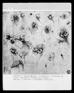 Studie mit Blumen