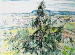 Landschaft bei Lauterbach