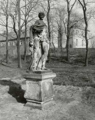 Dohna-Gamig, Gamig 2. Gut Gamig. Neues Schloß. Männliche Sandsteinfigur (Dionysos?; 18. Jh.) im Park (17. u. 18. Jh.)
