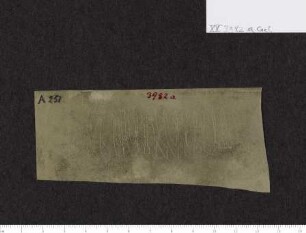 CIL XV 3982 a β, Gelatinefolie
