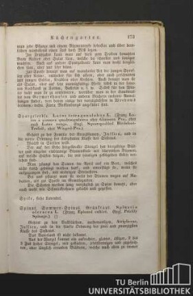 Spinat. Sommer-Spinat. Grünkraut. Spinacia oleracea L. (Franz. Epinard cultivé. Engl. Prickly Spinage.)