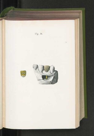 Fig. 36.