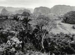 Die Sierra del Rosario mit ihren ausgeschwemmten Kalkbergen