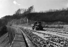 Drackensteiner Hang, Erneuerung der Fahrbahndecke, Ausbrechen der Kleinpflasterdecke, Von März - Juni 1960